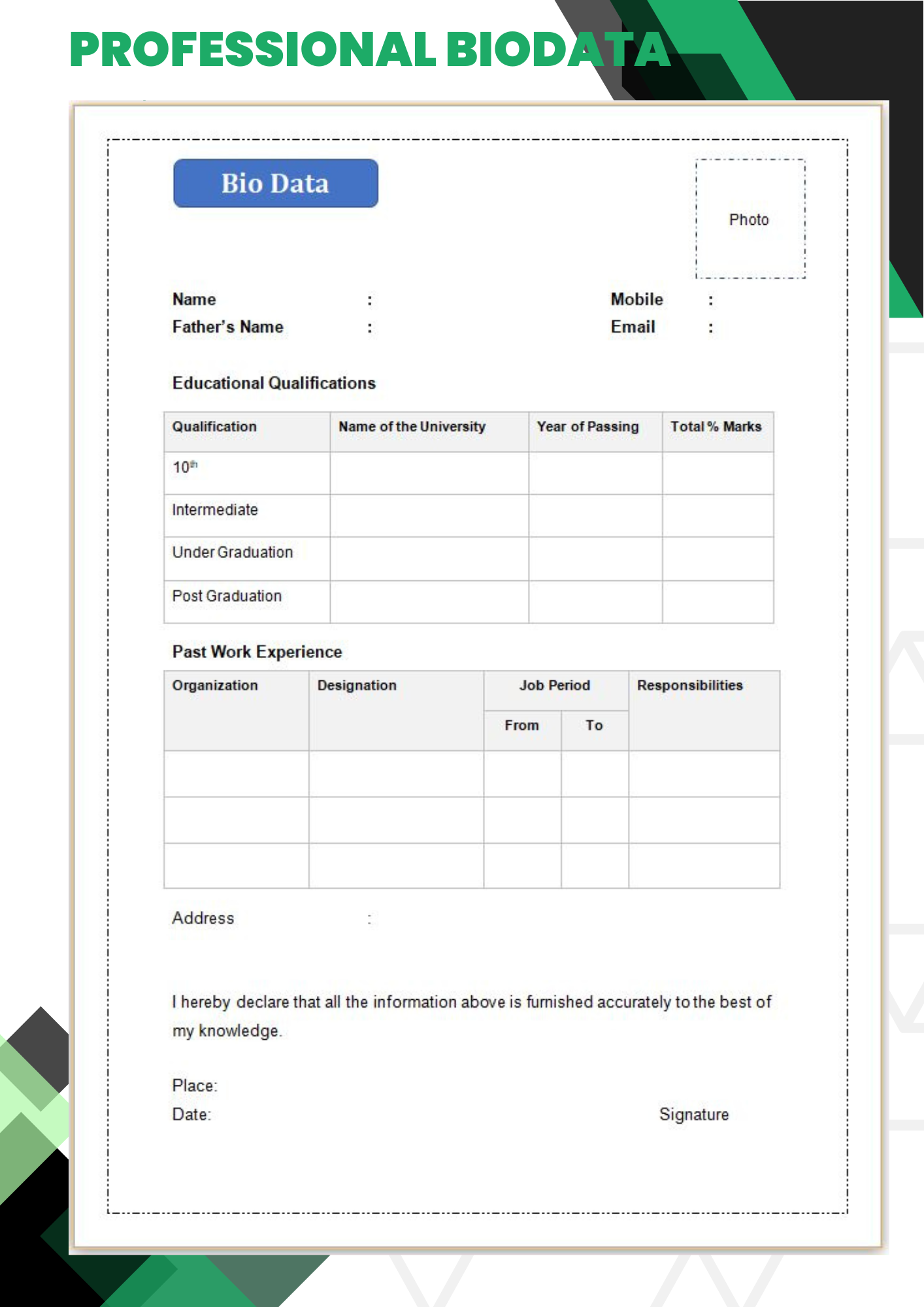 Professional biodata for jobs