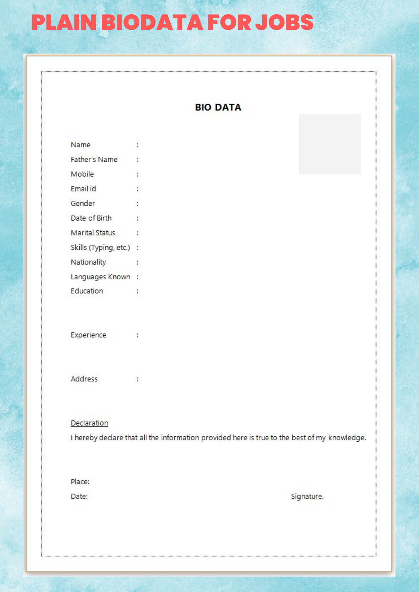 Plain biodata format for jobs biodata illustration
